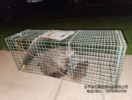 捕捉陷阱